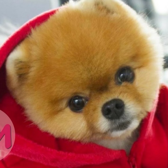 Meet your Posher, Fatima - Picture 1 of 1